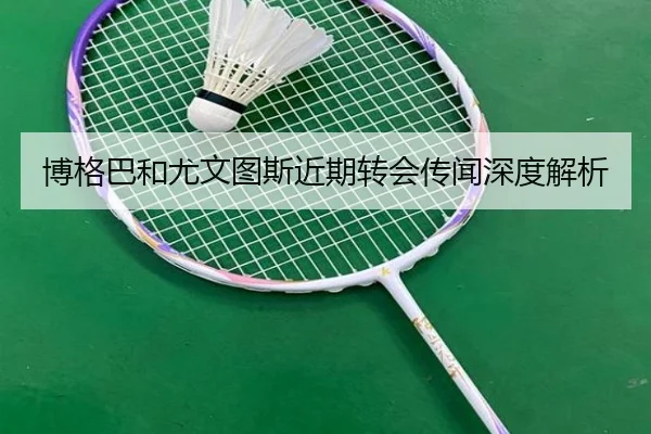 博格巴和尤文图斯近期转会传闻深度解析 - jiuyou
